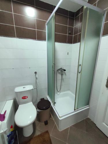 a bathroom with a shower and a toilet and a sink at Apartman Zelenika in Banja Koviljača