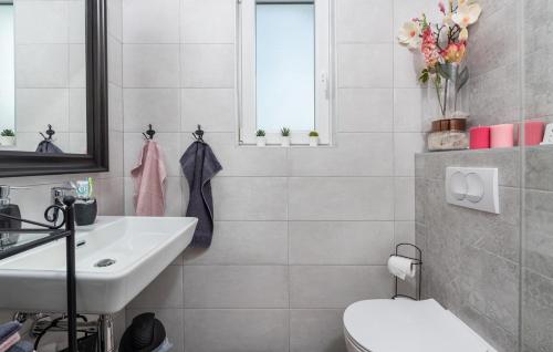 a bathroom with a sink and a toilet at Holiday House Businia with Whirlpool in Bužinija