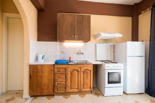 kuchnia z drewnianymi szafkami i białą lodówką w obiekcie Southgate Apartments w mieście Agios Georgios