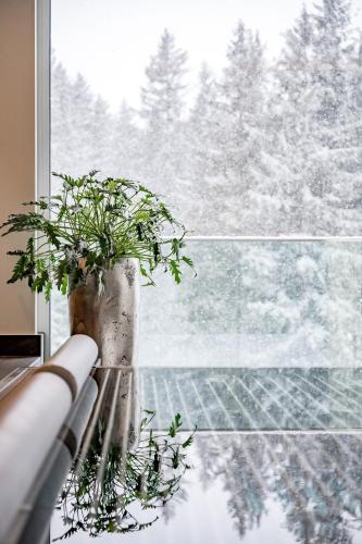 a potted plant sitting in front of a window at Naturhotel Alpenblick in Maurach