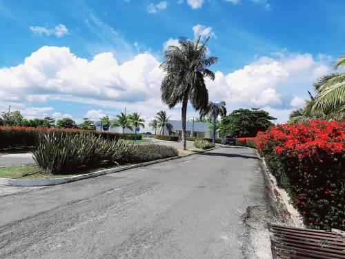 an empty street with a palm tree and red flowers at Apartamento en Playa Blanca - PANAMÁ in Río Hato