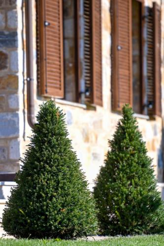 two green trees in front of a building at Pinelia Home in Mirtófiton