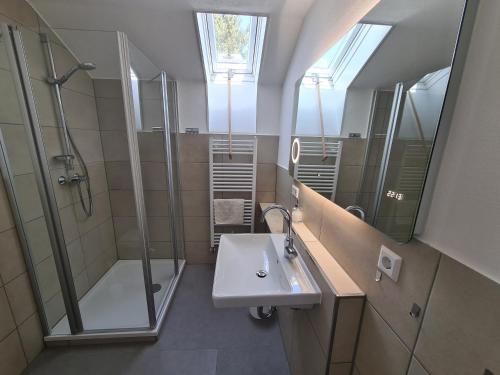 a bathroom with a sink and a shower and a mirror at Seeblick Kampf mit Fahrradgarage in Nonnenhorn