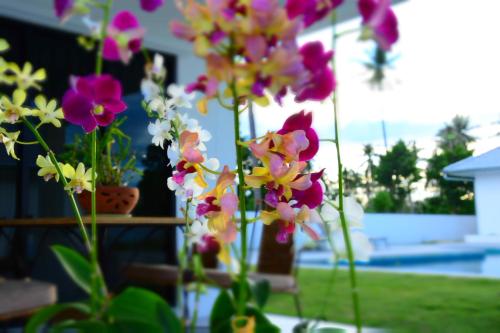 Kolam renang di atau dekat dengan Mango Beach Resort Thailand