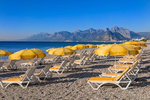 a group of chairs and umbrellas on a beach at Özkaymak Falez Hotel in Antalya
