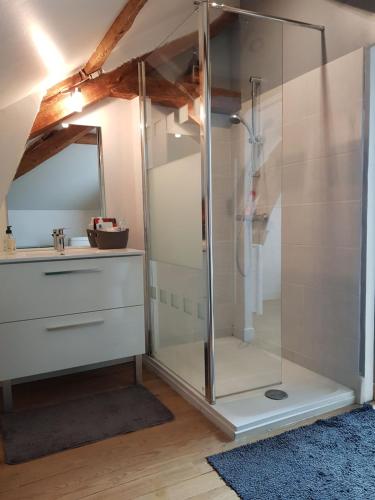 uma cabina de duche na casa de banho com um espelho em Un petit coin d'OSSAU em Bescat