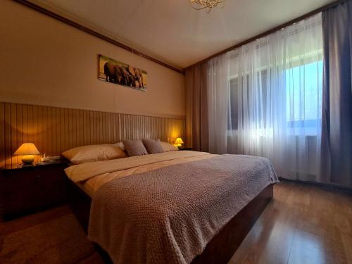 um quarto com uma cama grande e uma janela em Apartment & Room Monika em Rakovica