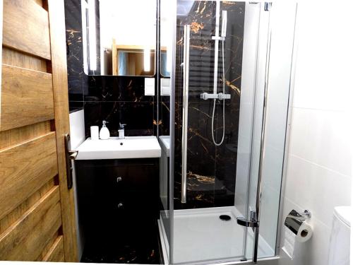 Kúpeľňa v ubytovaní Apartament nr 6 U Miśka - obok dworca