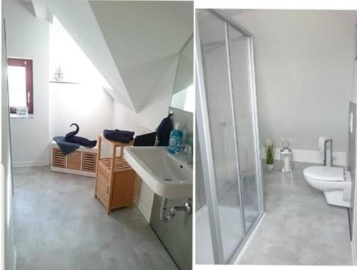 a bathroom with a sink and a shower and a toilet at Ferienwohnung Inselblüte in Werder