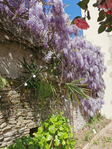 un mur avec des glycérines violettes dans l'établissement Duplex INDEPENDANT Centre ville, aux Herbiers