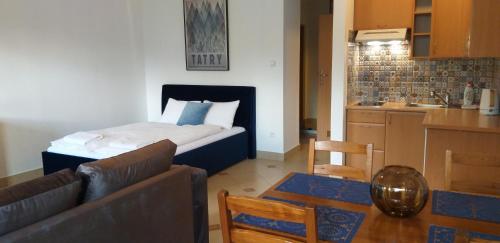 Η κουζίνα ή μικρή κουζίνα στο Apartament Holny