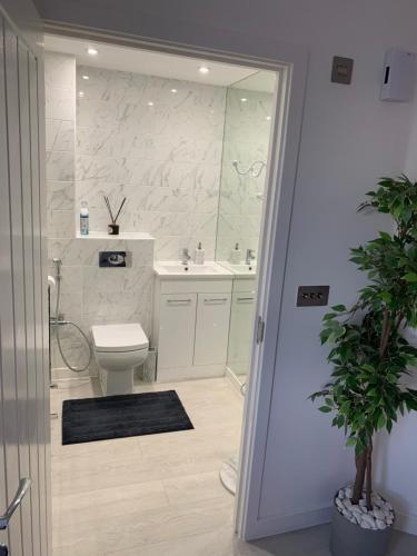 A BYK luxury modern home that sleeps 2 - 8 people في Horndon on the Hill: حمام مع مرحاض ومغسلة