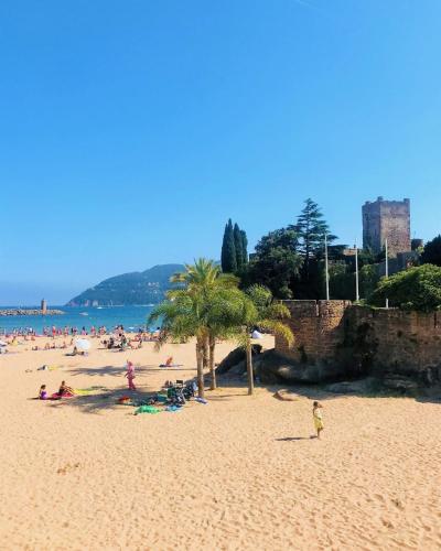 a group of people on a beach with a palm tree at Maisonnette au calme et proche mer in Mandelieu-la-Napoule