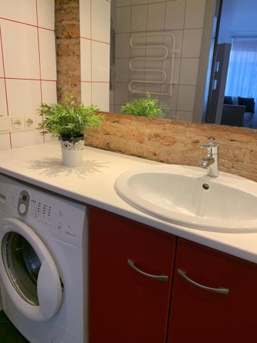 een badkamer met een wasmachine en een wastafel bij Old Studio Apartment in Vilnius