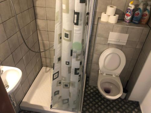 małą łazienkę z toaletą i umywalką w obiekcie Apartman Kryštof we Franciszkowych Łaźniach