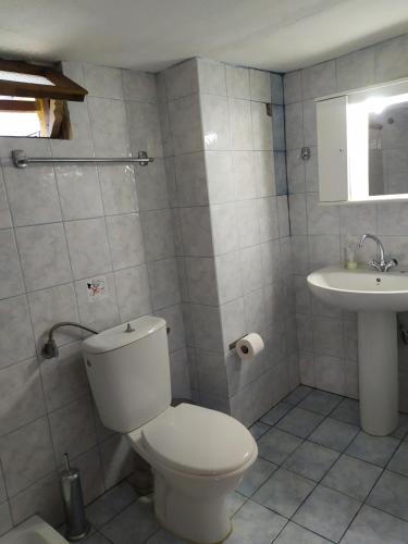 ein Bad mit einem WC und einem Waschbecken in der Unterkunft Triple studio apartment in Mylopotamos Beach in Tsagkarada