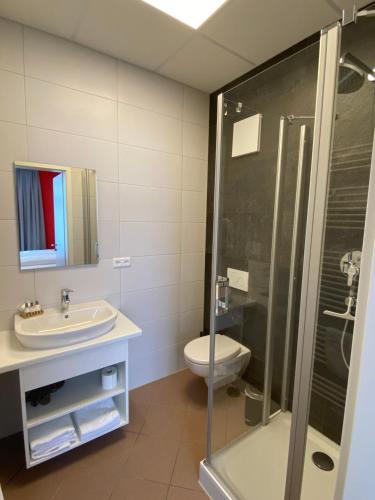 a bathroom with a toilet and a sink and a shower at Nord-Ries Apartments in Fremdingen