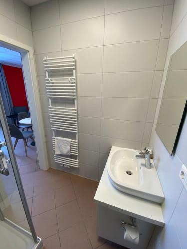uma casa de banho com um lavatório e um espelho em Nord-Ries Apartments em Fremdingen