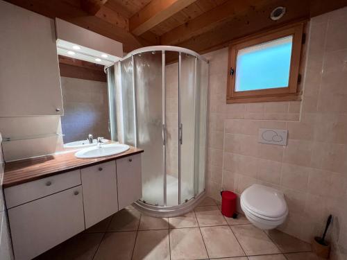 e bagno con doccia, servizi igienici e lavandino. di L'Aulp De Suz 1 - Demi chalet a La Clusaz