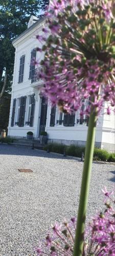 Κήπος έξω από το Chambres d'Hôtes des Rouets