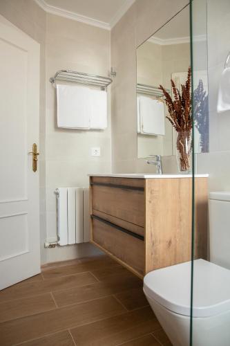 a bathroom with a toilet and a sink at Apartamentos Acacio in Suances