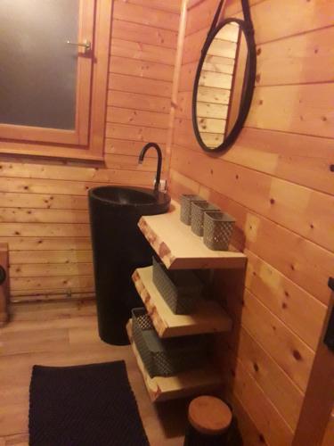 a bathroom with a mirror and a sink in a room at chalet La Vallée in La Bresse