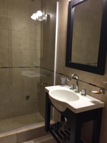 a bathroom with a sink and a shower at El Oasis in Saladillo