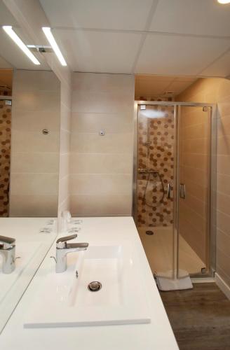 une salle de bain avec un lavabo et une douche dans l'établissement Hôtel Montfort, à Lourdes