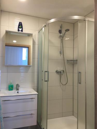 een badkamer met een douche en een wastafel bij Ubytování Puškinova in Vyškov