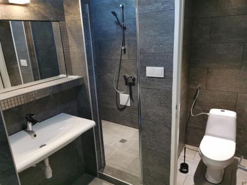 a bathroom with a shower and a sink and a toilet at DUKAT in Horyniec Zdrój