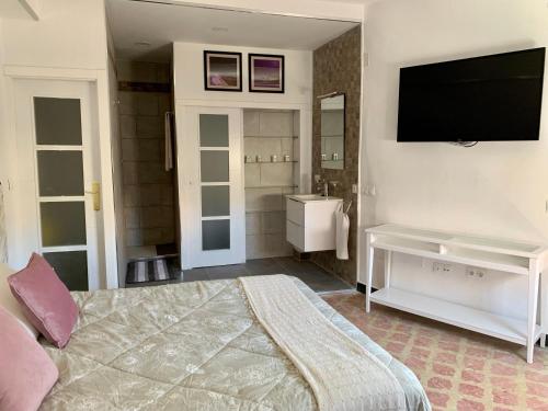 a bedroom with a bed and a flat screen tv at Salud Vacacional in Santa Cruz de Tenerife
