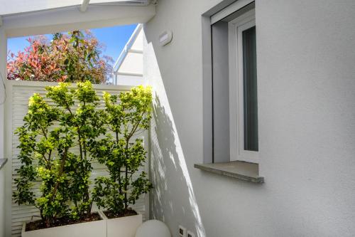un balcone con 2 piante in vaso e una finestra di Attico Fronte Mare Residenza Matilde a Chiavari