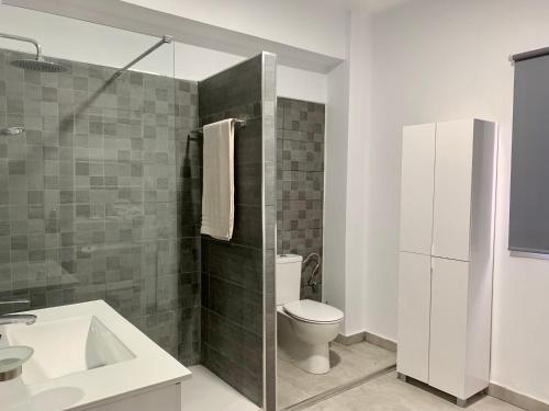 uma casa de banho com um WC, um lavatório e um chuveiro em Salud Vacacional 2 em Santa Cruz de Tenerife