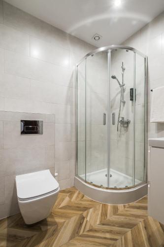 a bathroom with a shower and a toilet at EASY RENT Piłsudskiego 6 in Przemyśl
