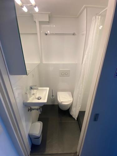 a bathroom with a toilet, sink, and shower at Hotel 't Sonnehuys in Scheveningen