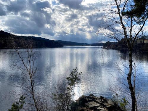 a view of a large body of water at Prázdninový Domek Kobylnice in Lipno nad Vltavou