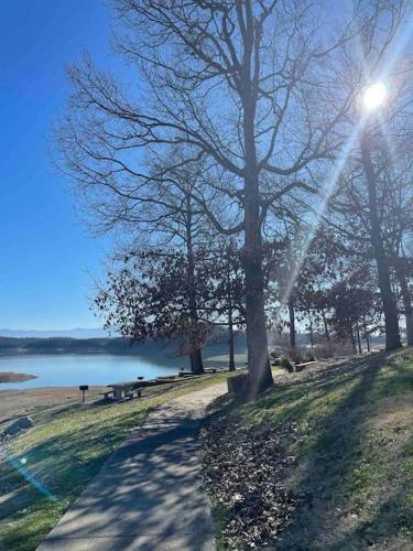 a tree and a path next to a lake at Charming house in Sevierville Family friendly Quiet location Close to Wilderness in Sevierville