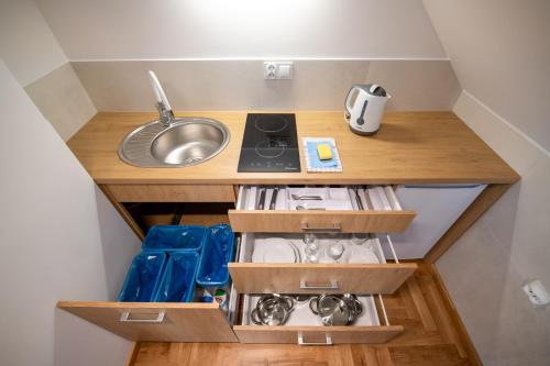 a small kitchen with a sink and a sinkessment at Willa Aga in Dębki