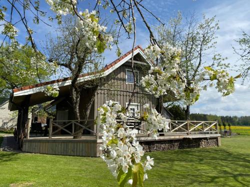 a log cabin with flowering trees in front of it at Sodyba Viltis in Bikavėnai