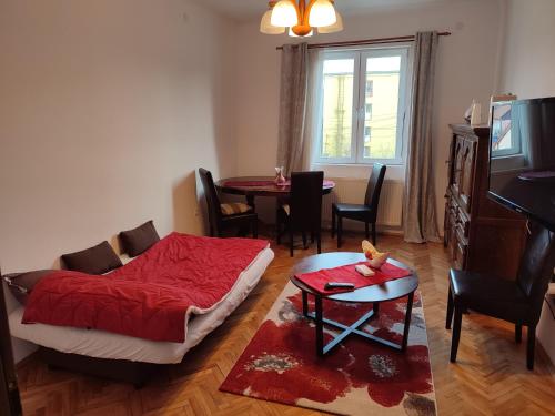 Foto da galeria de Lovely 1 bedroom apartment in city centre, sleeps 4 ! em Turda