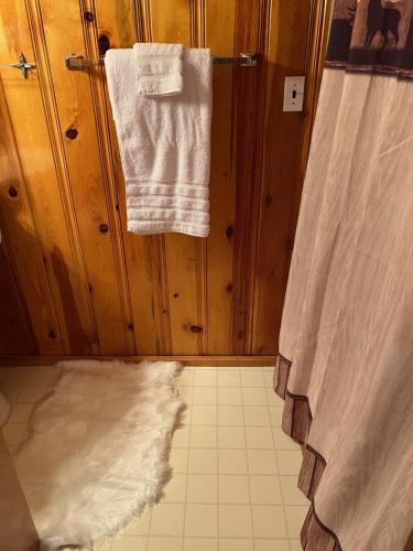 a bathroom with a shower with a towel and a rug at Mountain View Lodge in Red River
