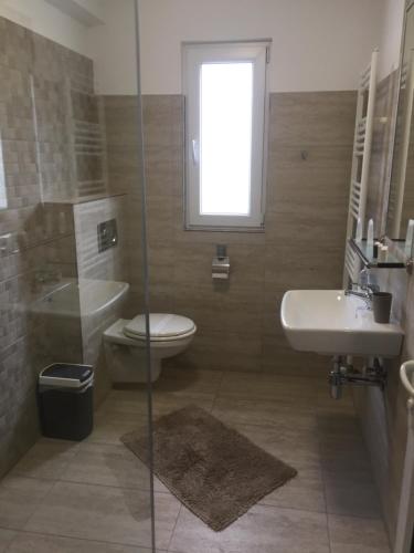 a bathroom with a toilet and a sink and a shower at Pensiunea Emage Moieciu in Moieciu de Sus