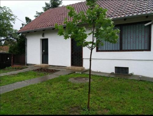 un petit arbre devant une maison blanche dans l'établissement Apartman Sissi, à Pančevo