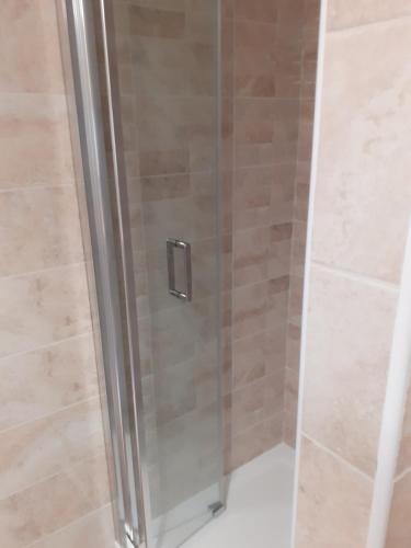 a shower with a glass door in a bathroom at Apartmány Na samotě in Kubova Huť