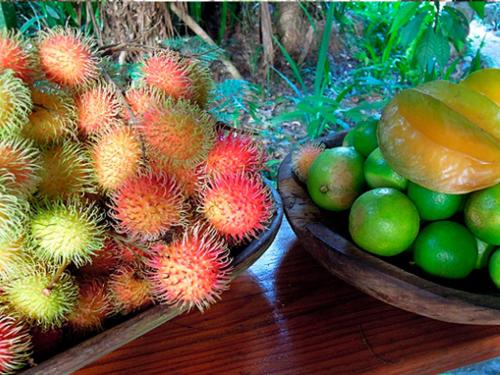 a bunch of fruit on a table next to a bowl of limes at Omega Tours Eco-Jungle Lodge in La Ceiba