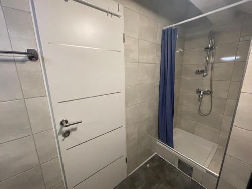 a bathroom with a shower and a glass door at VIP Apartments & Room in Rakovica