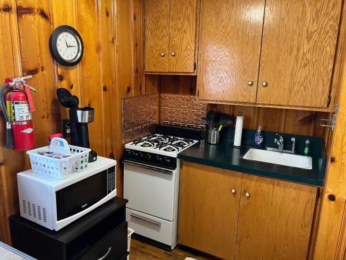 a kitchen with a stove and a microwave at Mountain View Lodge in Red River