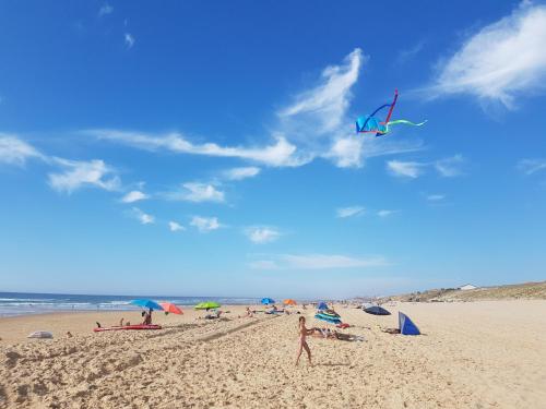a person standing on a beach flying a kite at T2, 50m du lac, PISCINE, WIFI, jardin terrasse sans vis-à-vis, 1 à 4 pers in Aureilhan