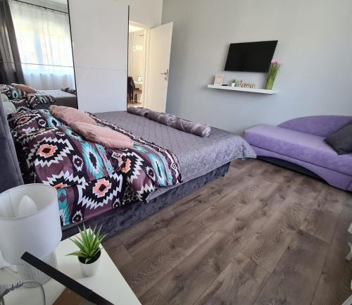 Grey & Sunny Apartments Zaječar في زاييتشار: غرفة معيشة مع سرير وأريكة