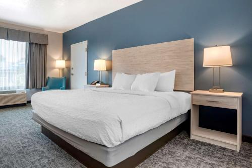 1 dormitorio con 1 cama grande y pared azul en Best Western Navarre Waterfront en Navarre